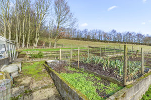 Photo 44- click for photo gallery